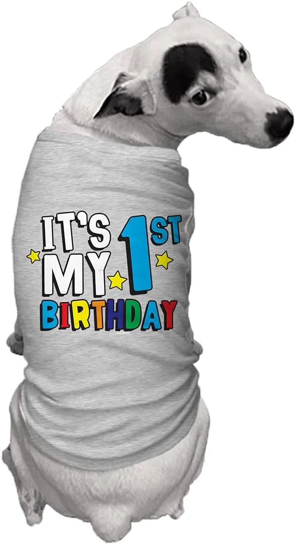 It's My 1st Birthday - First Dog Shirt (Light Gray, 2X-Large)